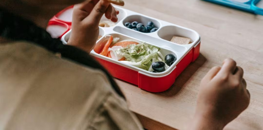 Children lunch box recipes