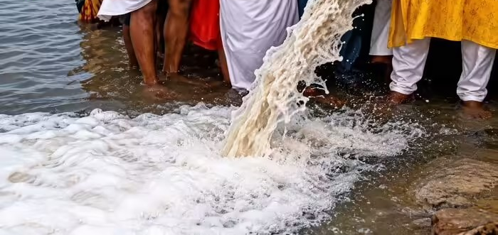 Milk Pollution Narmada River: નર્મદામાં 11,000 લીટર દૂધ વહેવડાવવા પર વિવાદ, NGTમાં મામલો પહોંચ્યો, IIT પ્રોફેસરે જણાવ્યું ખતરનાક સત્ય 1 Milk Pollution Narmada River
