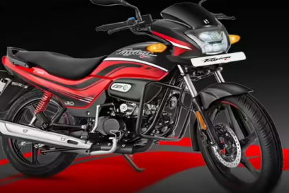 New Hero Passion Plus Disc