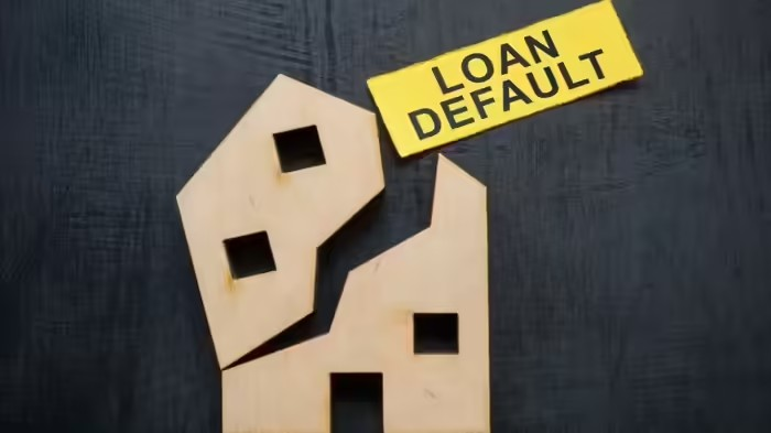 Loan defaulter asset tracking: લોન ડિફોલ્ટરો પર સરકારનો સકંજો, જંગમ મિલકતો ટ્રેક કરવા માટે નવી સેન્ટ્રલાઇઝ્ડ સિસ્ટમની તૈયારી 1 Loan defaulter asset tracking