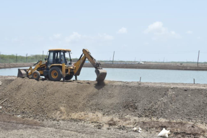 Navsari Prawn Ponds Demolition