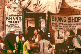 Cannabis Legalization India