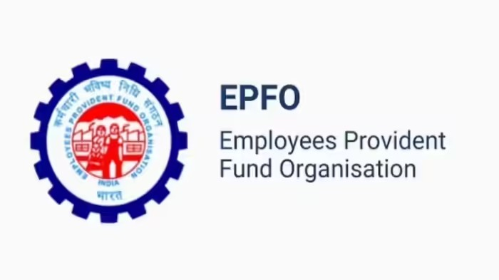 EPFO New Centralised Portal Launch: EPFO ના સભ્યો માટે મોટા સમાચાર, નવી સેન્ટ્રલાઈઝ્ડ સિસ્ટમ અને વ્યાજની રકમ વિશે જાણો સંપૂર્ણ વિગતો 1 EPFO New Centralised Portal Launch