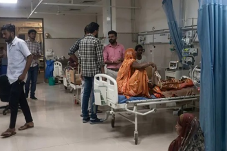 Chandipura Virus Gujarat