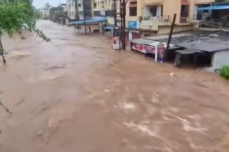 Gujarat Rain