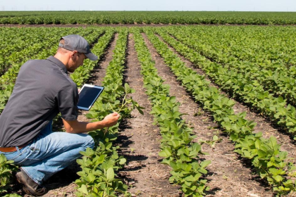 Agriculture Course after 12th