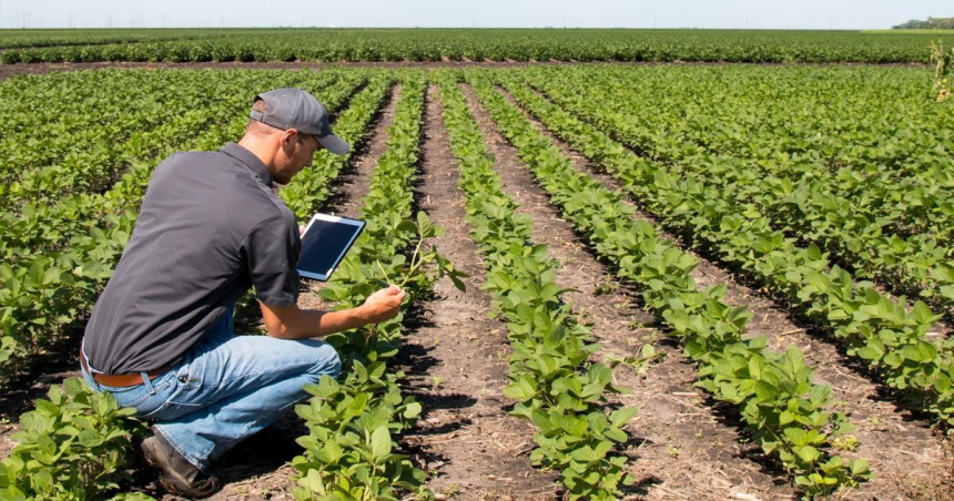 Agriculture Course after 12th: 12મા પછી કયો એગ્રીકલ્ચર કોર્સ કરવો? ઉત્તમ નોકરી માટે જાણો સંપૂર્ણ માર્ગદર્શન 1 Agriculture Course after 12th