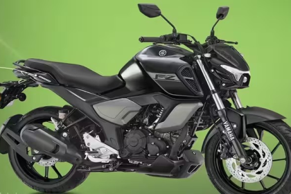 Yamaha FZ Blue Flex