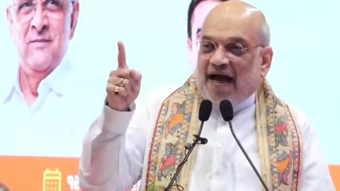 Amit Shah Tree Plantation Ahmedabad: અમદાવાદને મળી 80 નવી ઈલેક્ટ્રિક એસી બીઆરટીએસ બસો, 101 ઓક્સિજન પાર્કનું લોકાર્પણ 1 Amit Shah Tree Plantation Ahmedabad