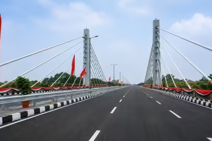 Gujarat First Urban Cable Stayed Flyover