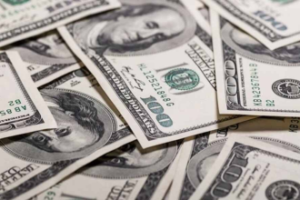 NRI Remittance Growth