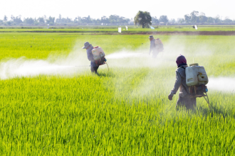 Highly Hazardous Pesticides India