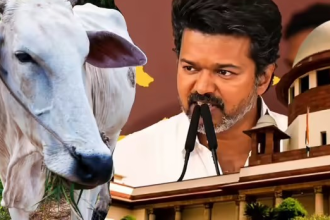 Cow Slaughter Ban Challenge