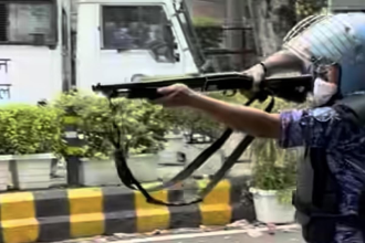 Pellet Gun Report