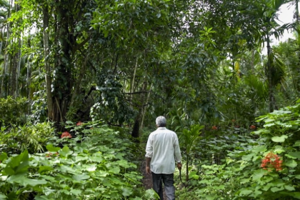 Green India Mission
