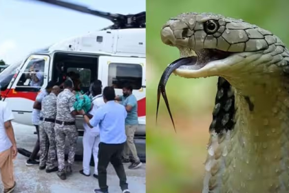 Gadchiroli Tribal Hostel Snake Bite