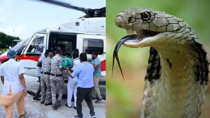 Gadchiroli Tribal Hostel Snake Bite: ગઢચિરોલી આદિવાસી શાળામાં સાપદંશથી 3 વિદ્યાર્થીનીઓના મોત, બેડના અભાવે જમીન પર સૂતી હતી બાળકીઓ 1 Gadchiroli Tribal Hostel Snake Bite