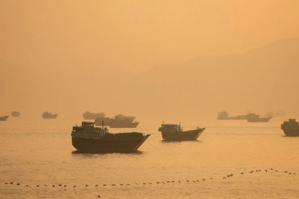 Hormuz Strait Shipping Ban