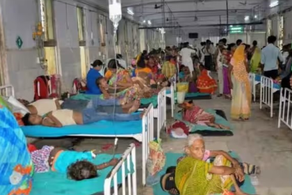 Chandipura Virus Gujarat