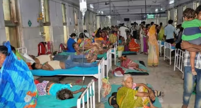 Chandipura Virus Gujarat: ગુજરાતમાં ચાંદીપુરા વાયરસથી 22 બાળકોના મોત, 35 કેસોની પુષ્ટિ 1 Chandipura Virus Gujarat