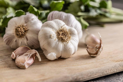Garlic Benefits