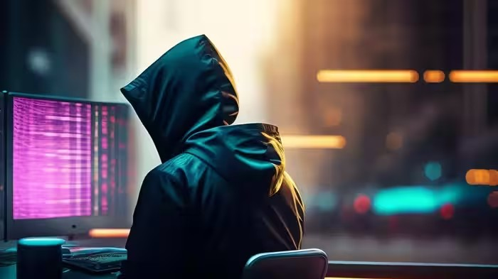 Online Payment Fraud