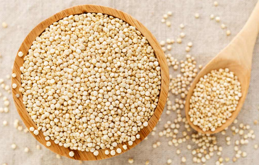 Quinoa Benefits: શાકાહારીઓ માટે પ્રોટીનનો બેસ્ટ વિકલ્પ! ક્વિનોઆ ખાવાના 8 જબરદસ્ત ફાયદા 1 Quinoa Benefits