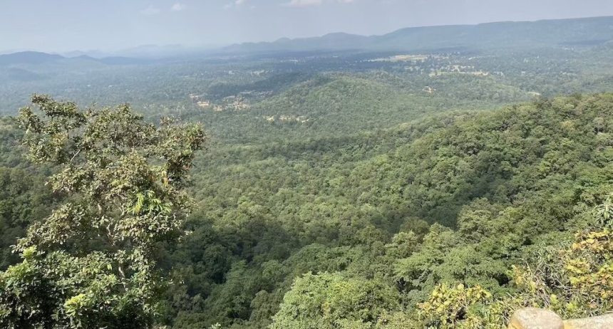 Adani Forest Land Diversion: મહારાષ્ટ્ર સરકારે અદાણી ગ્રુપના બે પ્રોજેક્ટ્સ માટે 83,700 ચોરસ ફૂટ જંગલ જમીનના ડાયવર્ઝનને મંજૂરી આપી 1 f13p9y1f