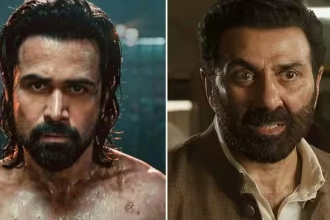 Box Office Collection