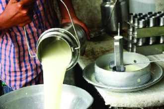 Milk Adulteration India