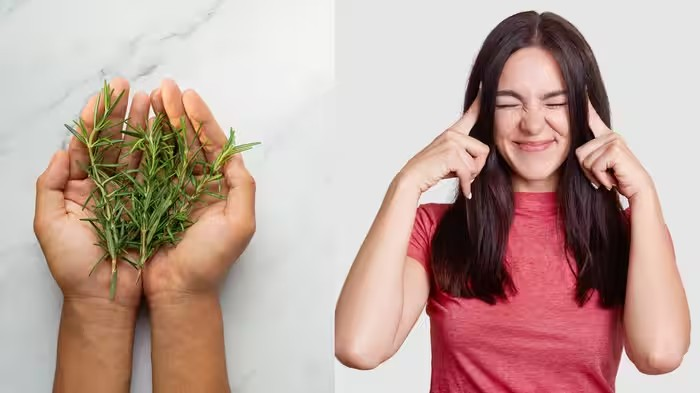 Rosemary Benefits