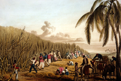Sugar History India