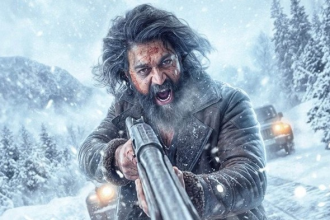 Box Office Collection