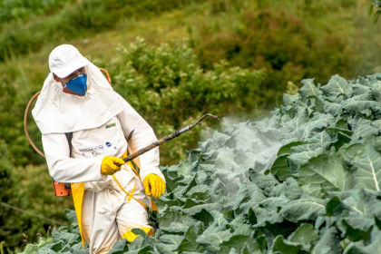 Pesticide Residue in Food