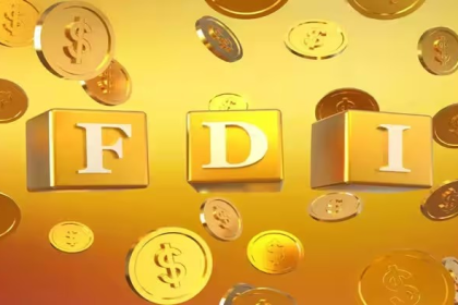 FDI Rules India