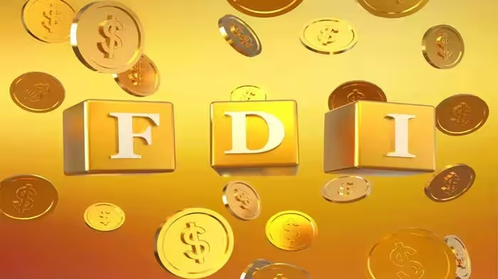 FDI Rules India: FDI નિયમોમાં ઢીલ બાદ વિદેશી રોકાણનો ધસારો, ભારતને મળ્યા ₹4,895 કરોડના 29 FDI પ્રસ્તાવ 1 FDI Rules India