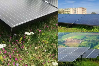 Bio Solar System Benefits