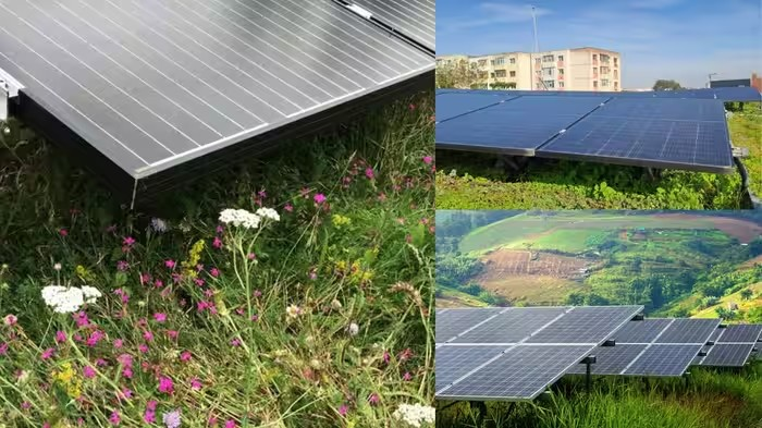 Bio Solar System Benefits