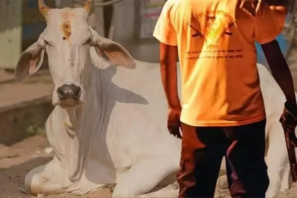 Maharashtra Dalit Case