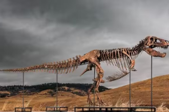 Dinosaur Extinction Research