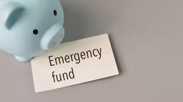 Emergency Fund Options: ઇમરજન્સી ફંડ ક્યાં રાખવું? Sweep-in FD કે Liquid Fund, જાણો કયો વિકલ્પ વધુ યોગ્ય 1 Emergency Fund Options