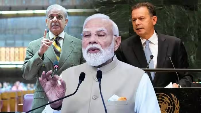 Portugal Backs India UNSC Bid: UNSCમાં કાયમી બેઠક પર પાકિસ્તાને કર્યો વિરોધ તો મિત્ર દેશે ભારતનું કર્યું સમર્થન, UNGAમાં મોટી માંગ 1 Portugal Backs India UNSC Bid