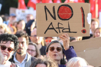 AfD Germany Rise