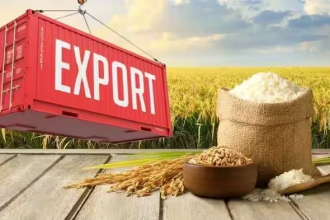 India Rice Export