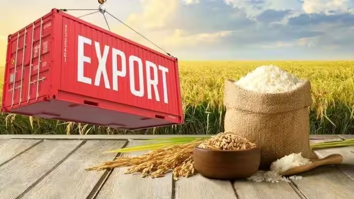 India Rice Export