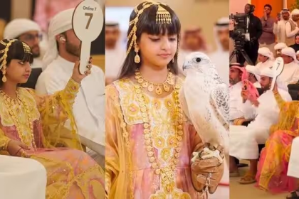 Falcon Auction Abu Dhabi
