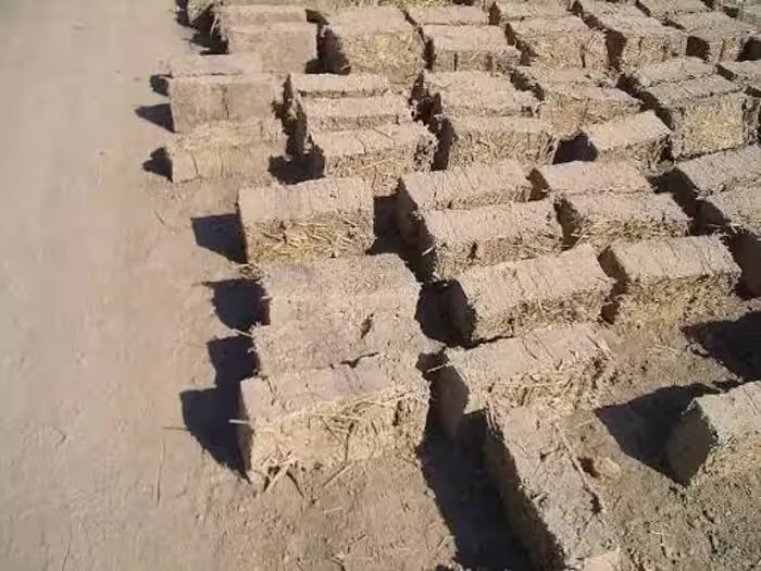 Desert Sand Bricks