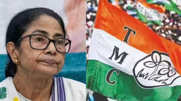 TMC Election Symbol: 34 વર્ષ જૂની સરકારને હરાવી, 15 વર્ષ સત્તા સંભાળી, મમતા બેનર્જી સામે TMCને લઈને આ પડકારો 1 TMC Election Symbol