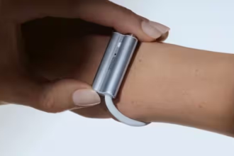 Fitbit Luffu Link