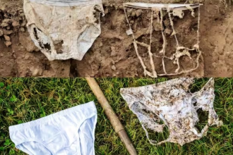 Switzerland Underwear Experiment